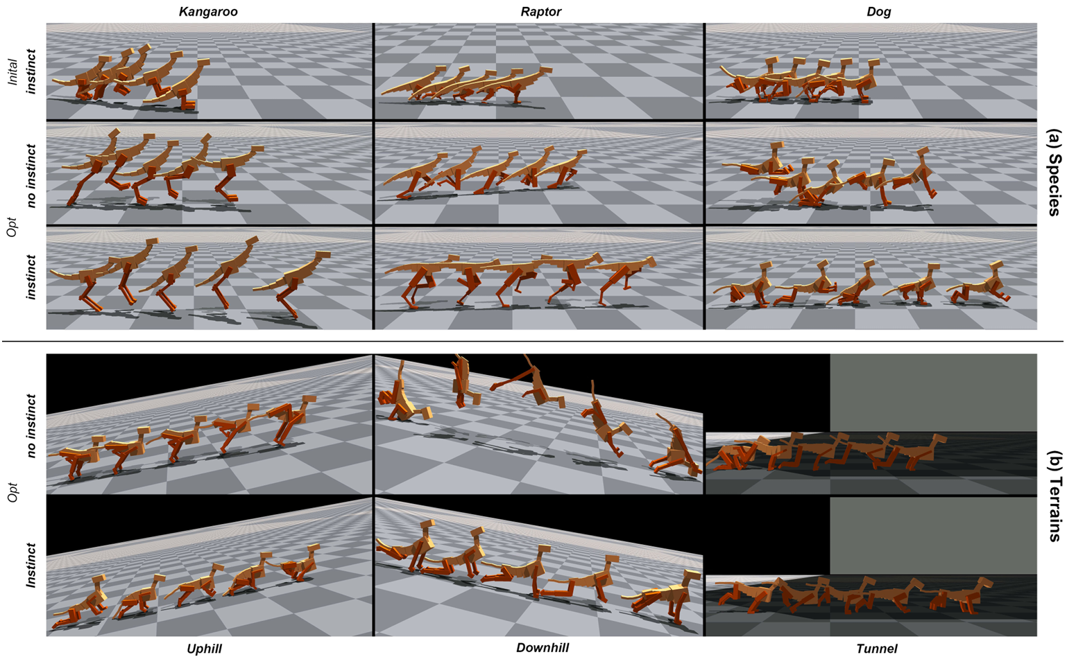 Evolving Physical Instinct